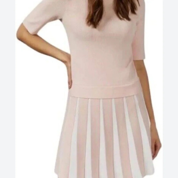 Ted Baker London Dresses & Skirts - Ted Baker London  Hethia Pleat Knit Dress